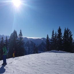 20190117_115108-standard.jpg
