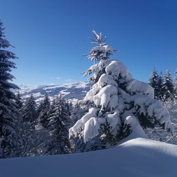 20190204_142631-standard.jpg