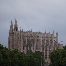 dsc00863-standard.jpg