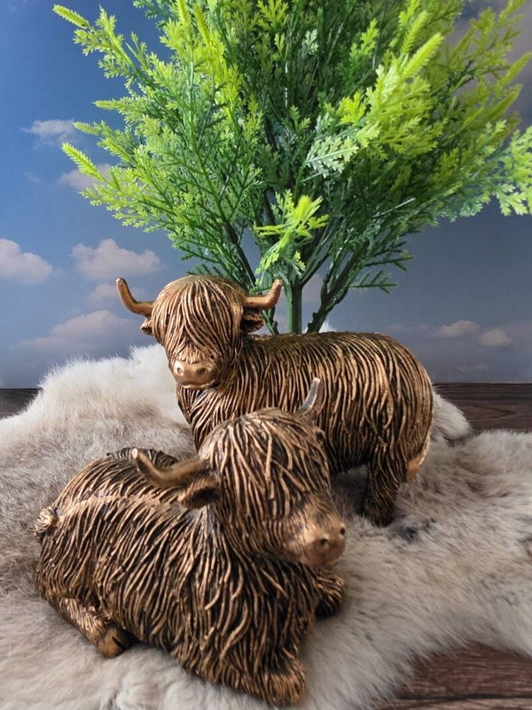 Setje Schotse Hooglanders