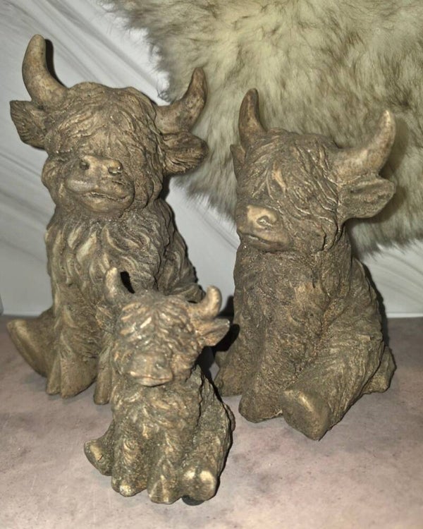 Schotse Hooglanders familie