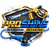 PROSHINEDETAILING.com