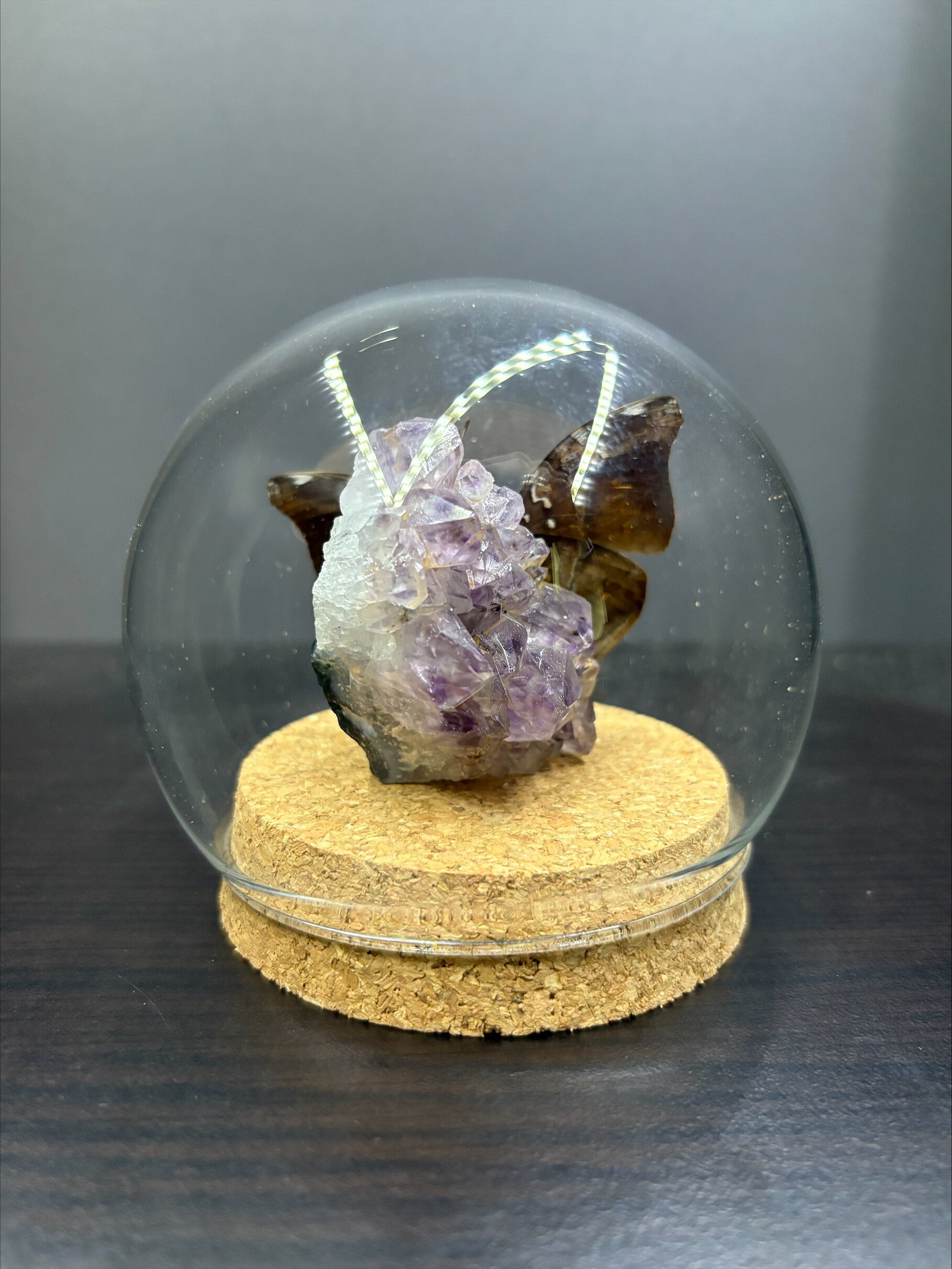 Bol klein Amethist met Doleschallia Bisaltide