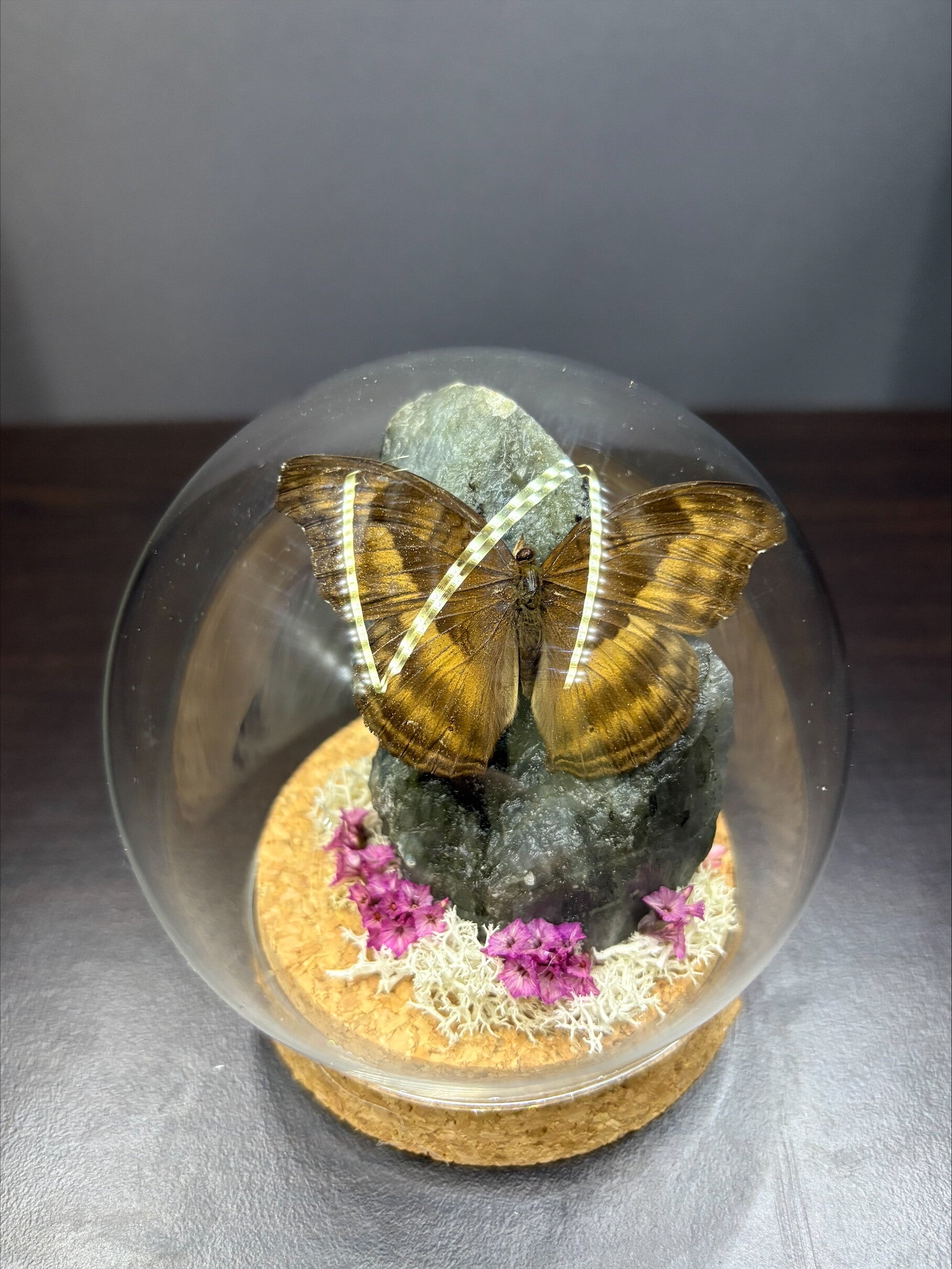 kleine bol met Labradoriet steen en Junonia Iphita vlinder