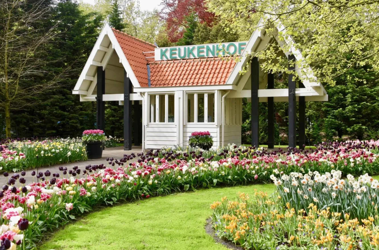 Half Day Tour to Keukenhof with Audio Guide Incl. Ticket