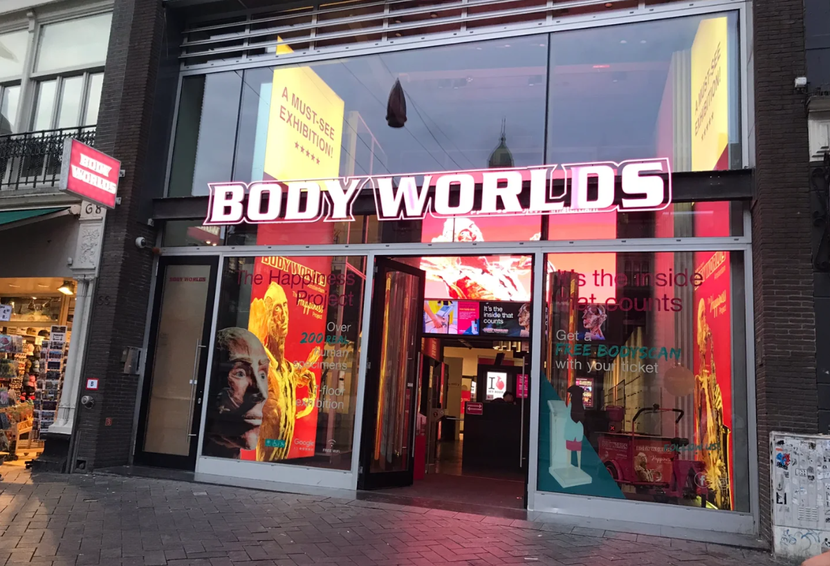 Body Worlds Amsterdam Entrance Ticket