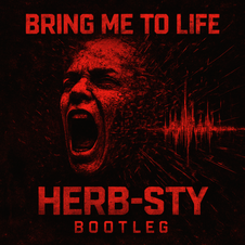 Bring Me To Life Cover