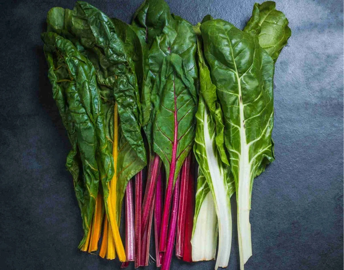 warmoes (snijbiet tricolor)