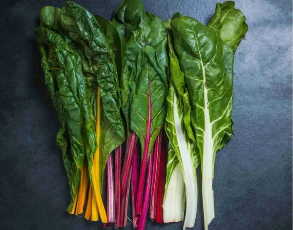 warmoes (snijbiet tricolor)