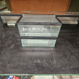 20250808_140359-standard.jpg