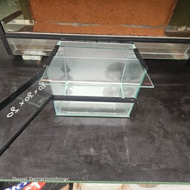 20250808_140410-standard.jpg