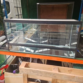 20250811_154410-standard.jpg