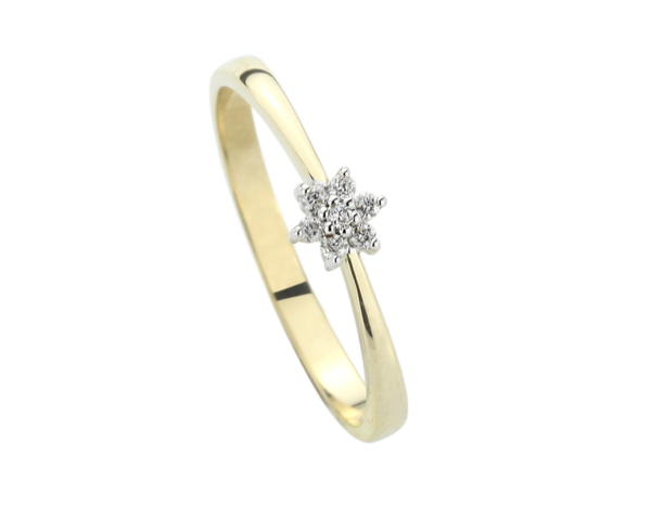 BU031 14 Karaats gouden entourage ring bezet met briljanten. Totaal 0,06 caraat.1