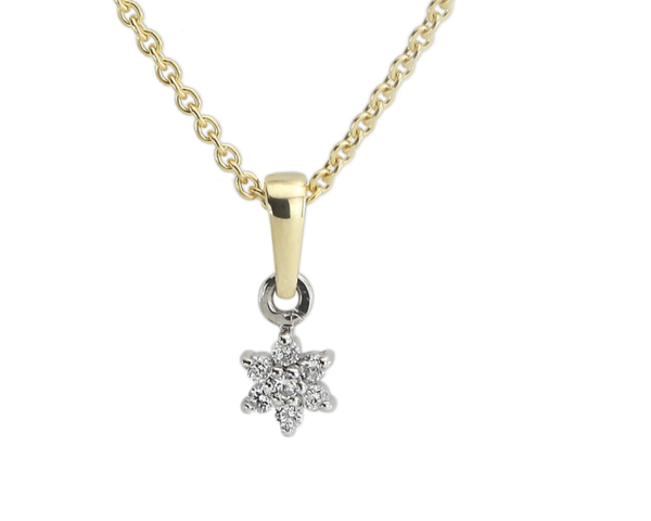 BU033 14 Karaats gouden entourage hanger (excl. collier) bezet met briljanten. Totaal 0,06 caraat.