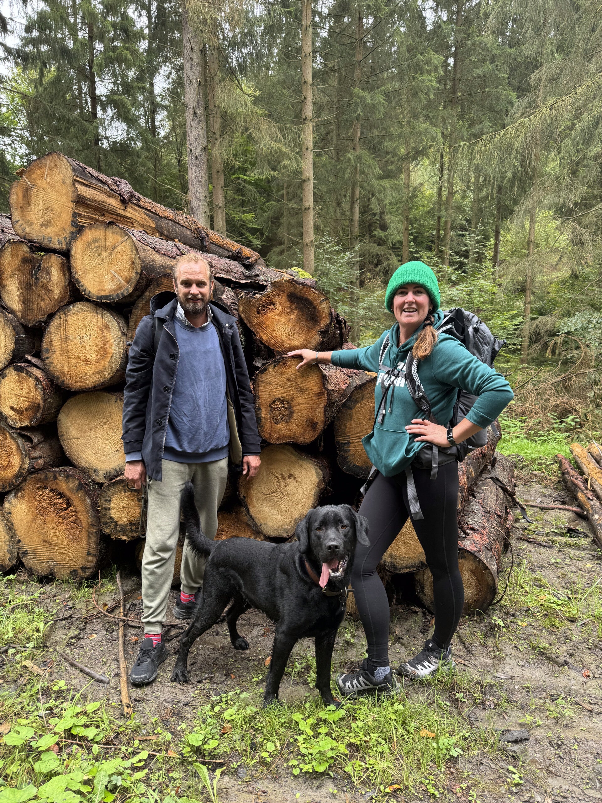 voor ovengedroogd, pefc gecertificeerd, ready to burn haardhout moet je bij bram's haardhout in pijnacker zijn 40 liter zakken eiken essen berken en aanmaakhout voor een eerlijke prijs, afhalen en bezorgen mogelijk