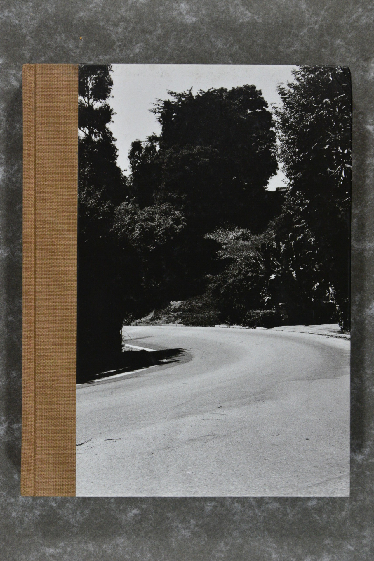 Fleuret,  Bertrand  -  The Risk Of An Early Spring