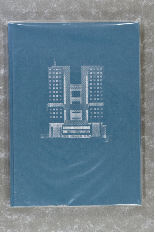 Somers, Elian  -  Border Theories    new in plastic