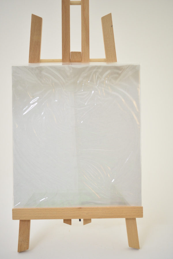 Nomura,  Sakiko  -  Sex/Snow  Signed!! Limited edition!  New in plastic