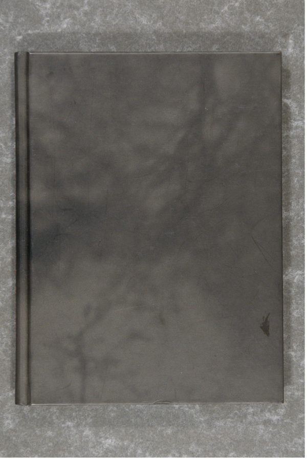 Sheikh, Fazal  -  RAMADAN MOON