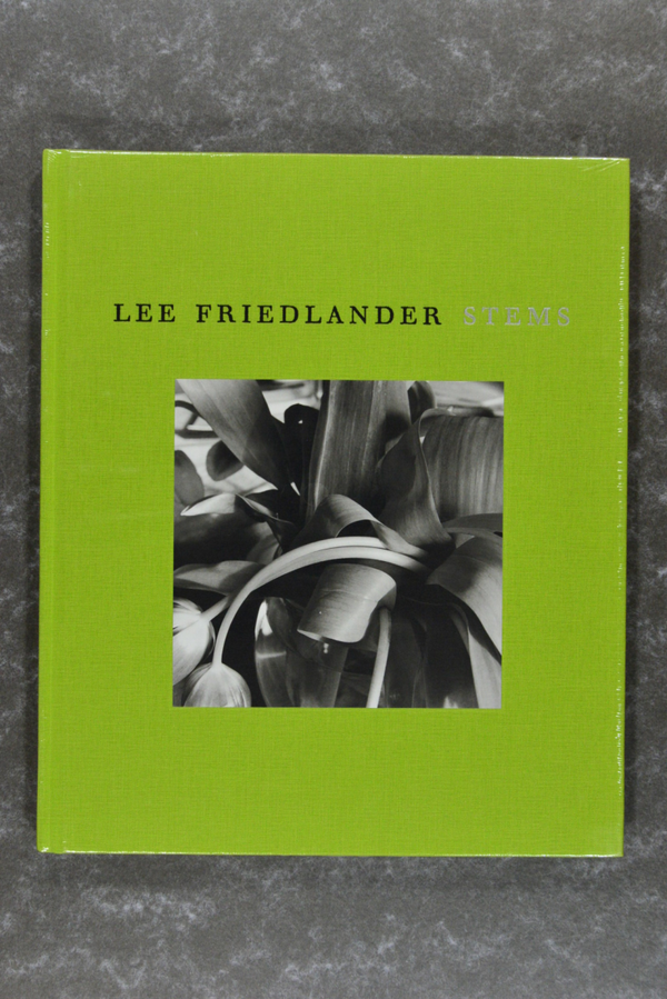 Friedlander,  Lee  -  Stems