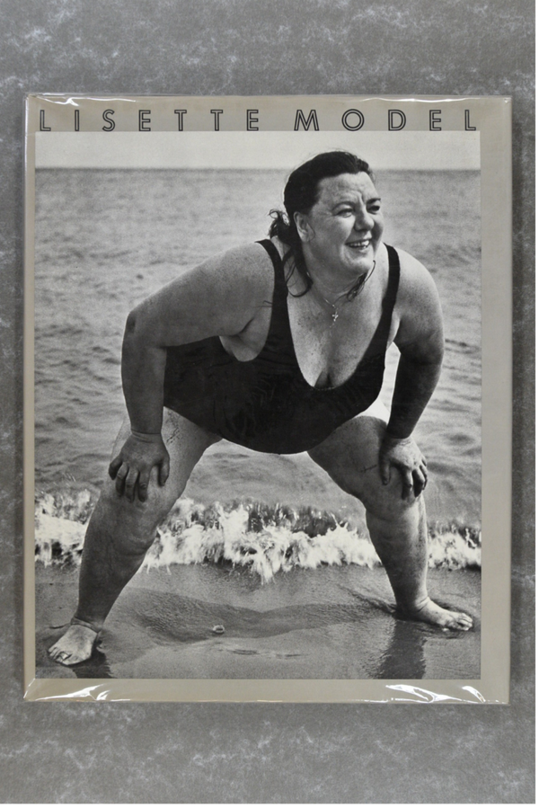 Model , Lisette - Lisette Model           New in plastic! first edition 1979!