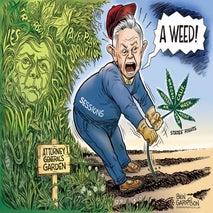 sessions_weed_ben_garrison-1024x728.jpg