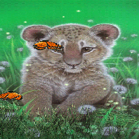 cutelioncu_2b75w6gv.gif