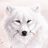 whitewolf_bhuvrk9c.gif