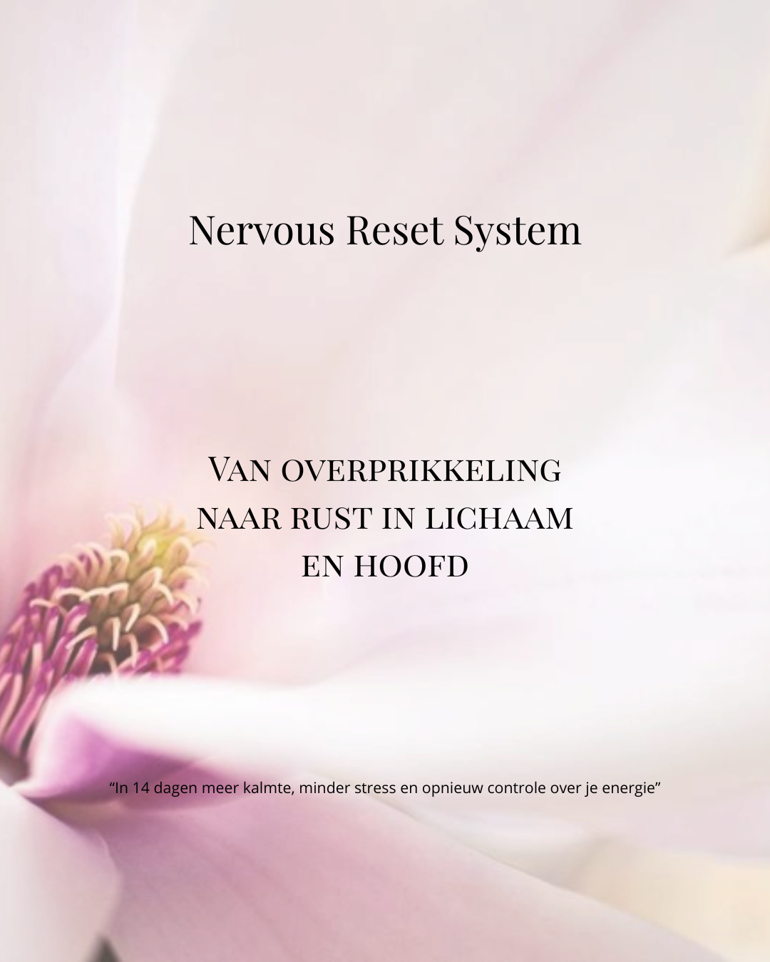 Nervous System Reset
