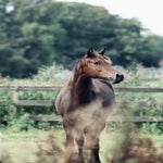 30176ed3-329e-436c-82cb-bd77c2e56b9c.jpeg