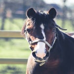 EF829ED1-CBE6-49F6-A3F3-7859A12D0157-1.jpeg