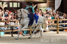 C7756023-2297-47DD-B6CC-DB160508E863.jpeg