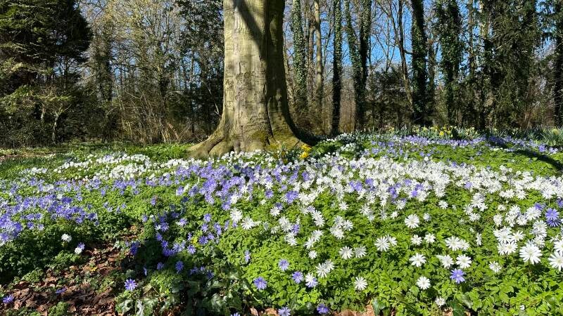 HighZenseYoga - Yin Yoga Nidra