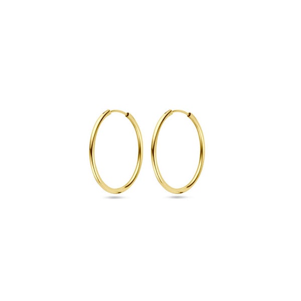 ZIOG-162 oorringen 1,8 mm ronde buis OORRINGEN