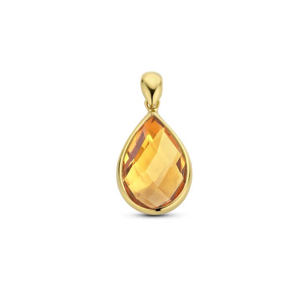 ZIHG4021392 GOUDEN HAN\GER CITRIEN