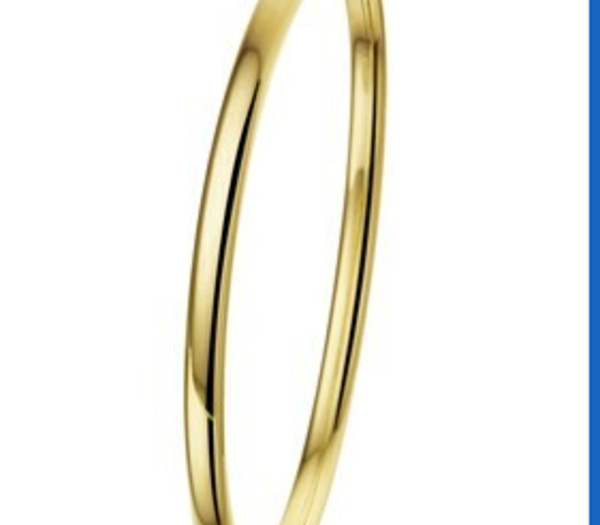 ZIAGK-12  Bangle dop ovale buis 4 MM