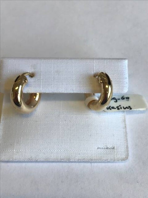 ZIOG-69 GOUDEN CREOLEN