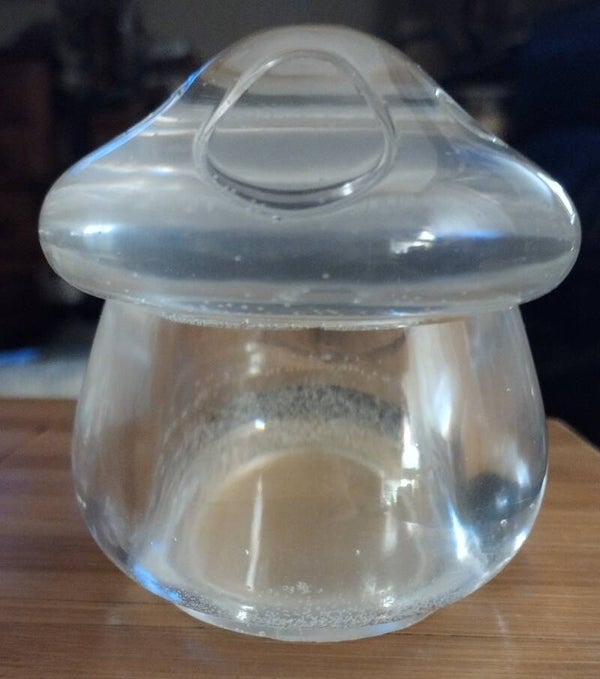 Mushroom Trinket Box