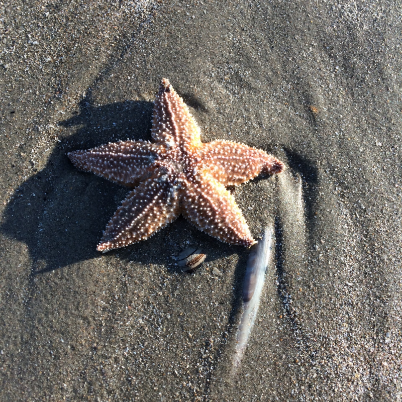 meer energie krijgen