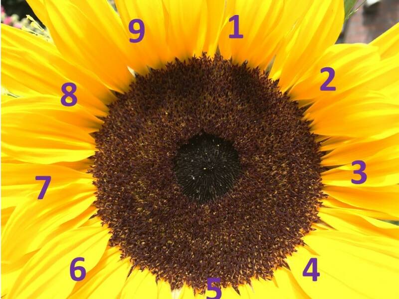 persoonlijk jaargetal