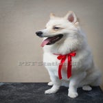 GHOST-23-06-14-44-standard-lvkc7o.jpg