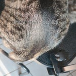 POPPY_06-24-07-12-02-standard-6rbuci.jpg