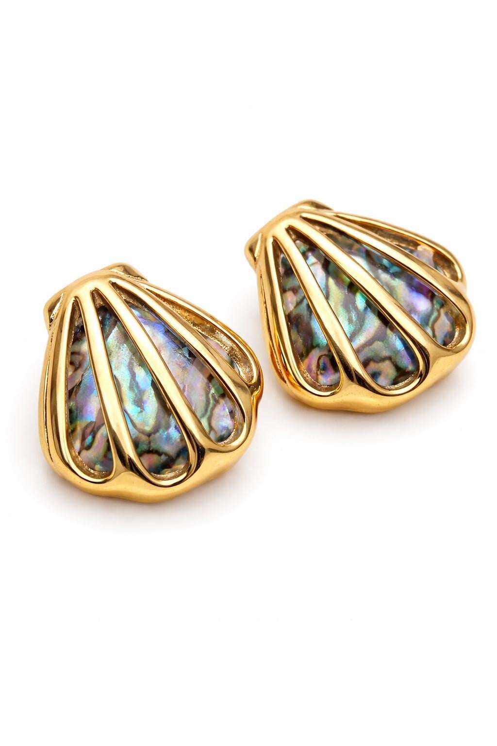 Coastal Abalone Muscheln Ohrringe