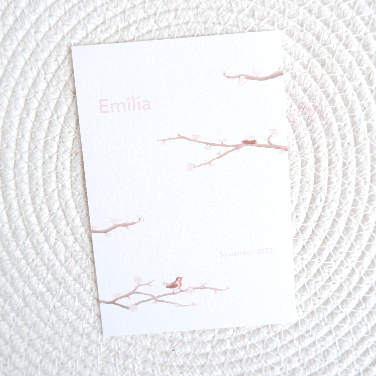 Geboortekaartje Emilia