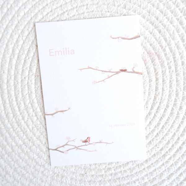 Geboortekaartje Emilia