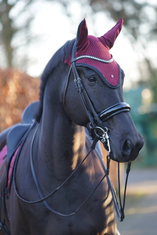 Euro star oornetje ESDiamond