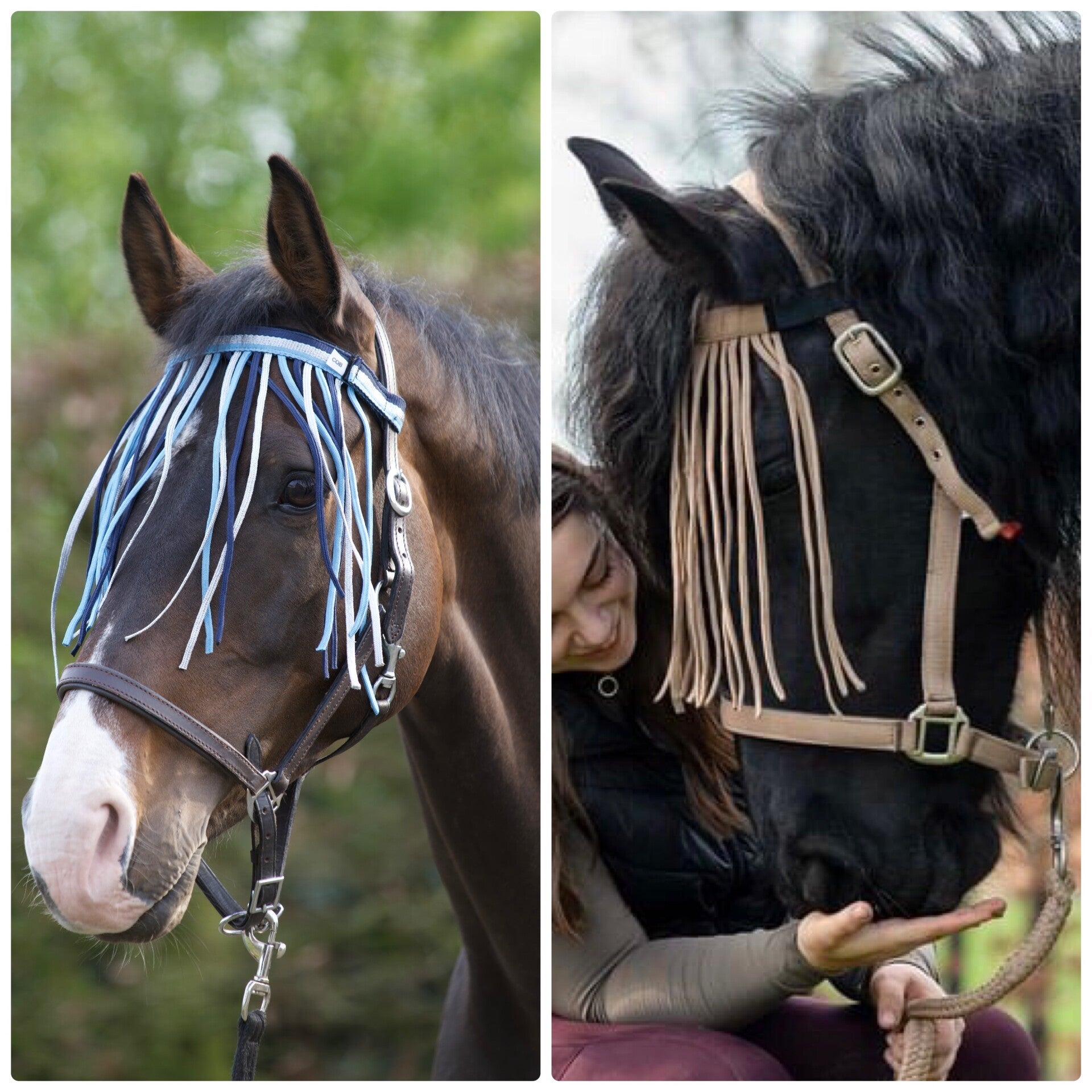 Vliegen frontriem met halster en halstertouw of los bij friends Through Horses
