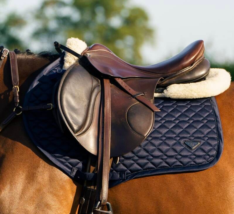 Euro star spring dekjes bij FTHorses