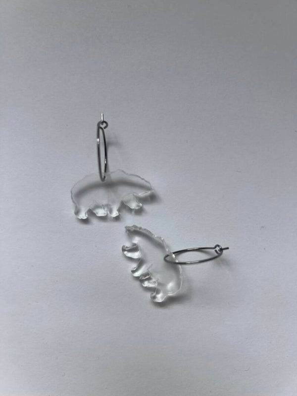 Ørering Isbjørn (Nanoq).