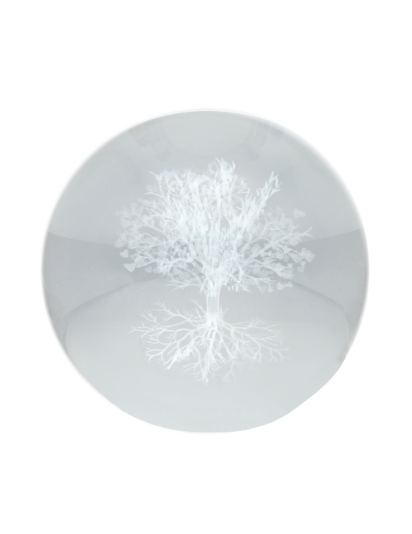 Sphère 3D arbre de vie
